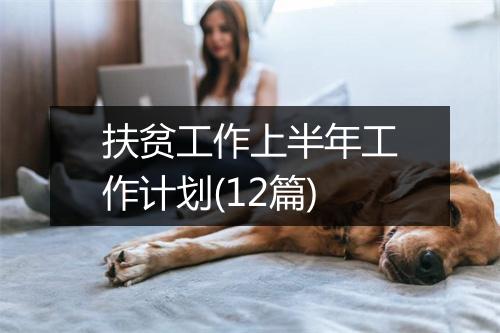 扶贫工作上半年工作计划(12篇)