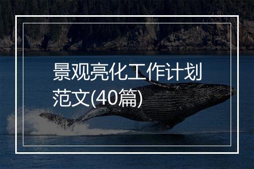 景观亮化工作计划范文(40篇)