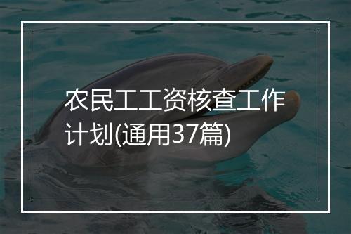 农民工工资核查工作计划(通用37篇)