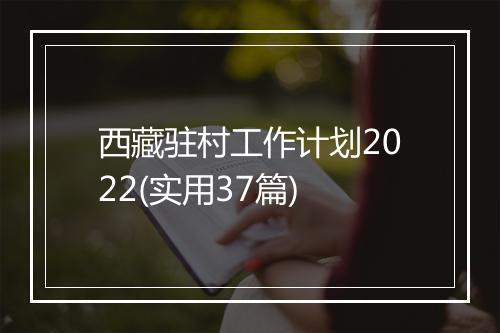 西藏驻村工作计划2022(实用37篇)