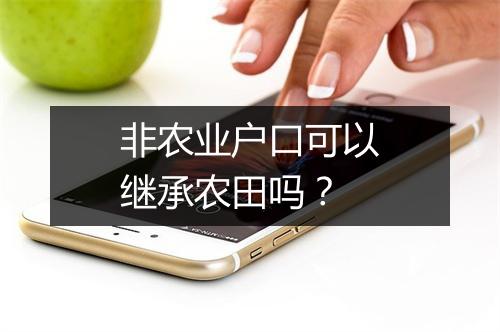非农业户口可以继承农田吗？