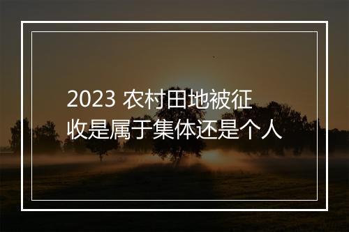 2023 农村田地被征收是属于集体还是个人