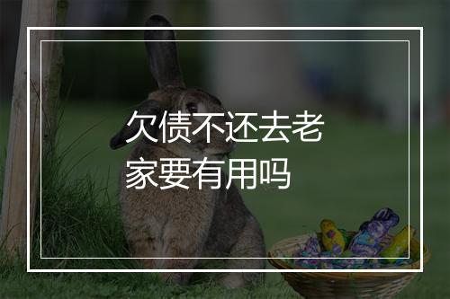 欠债不还去老家要有用吗