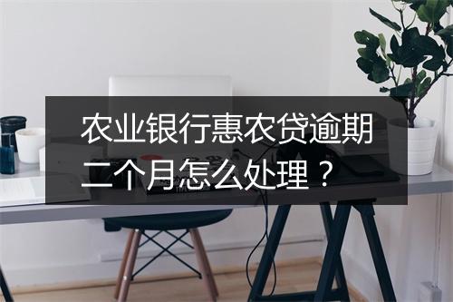 农业银行惠农贷逾期二个月怎么处理？