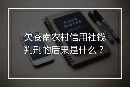欠苍南农村信用社钱判刑的后果是什么？