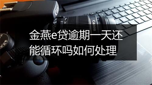 金燕e贷逾期一天还能循环吗如何处理