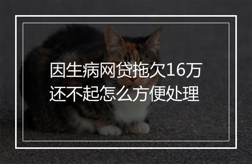 因生病网贷拖欠16万还不起怎么方便处理