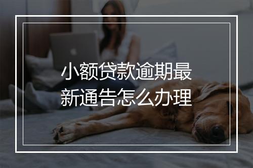 小额贷款逾期最新通告怎么办理