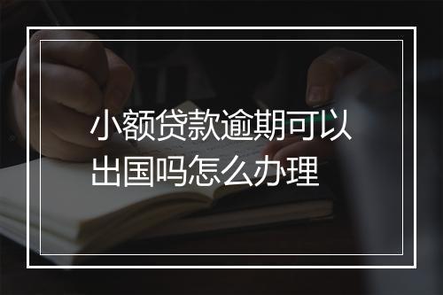 小额贷款逾期可以出国吗怎么办理