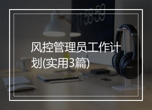 风控管理员工作计划(实用3篇)