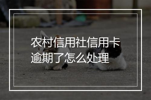 农村信用社信用卡逾期了怎么处理