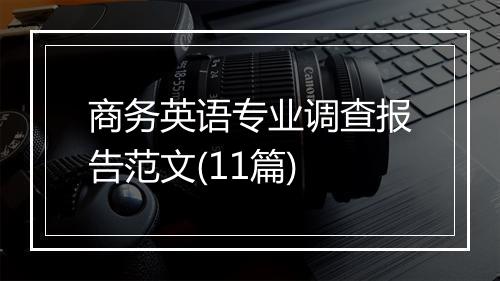 商务英语专业调查报告范文(11篇)
