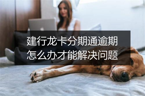 建行龙卡分期通逾期怎么办才能解决问题