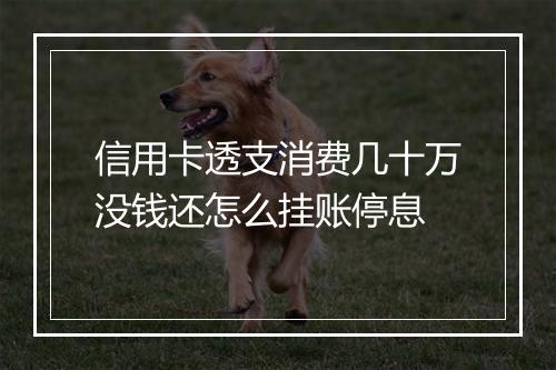 信用卡透支消费几十万没钱还怎么挂账停息