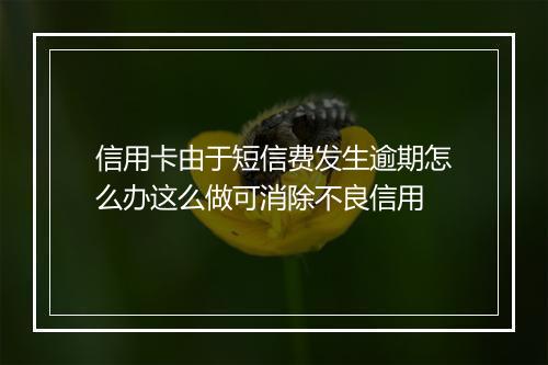 信用卡由于短信费发生逾期怎么办这么做可消除不良信用