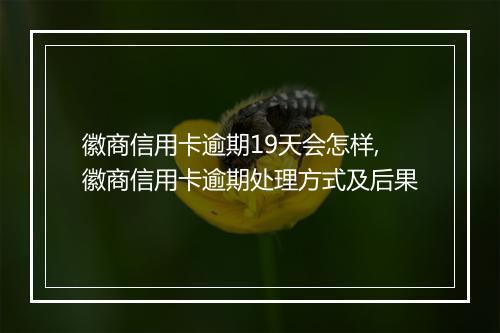 徽商信用卡逾期19天会怎样,徽商信用卡逾期处理方式及后果