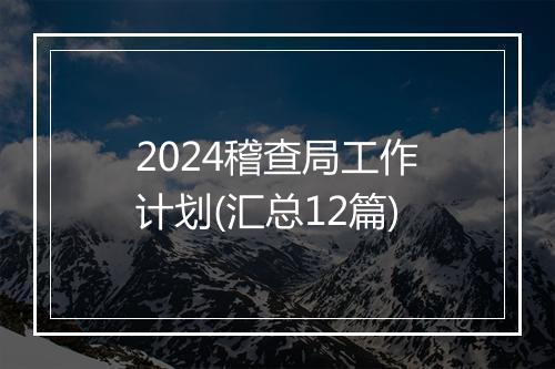 2024稽查局工作计划(汇总12篇)