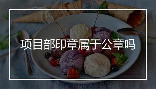 项目部印章属于公章吗