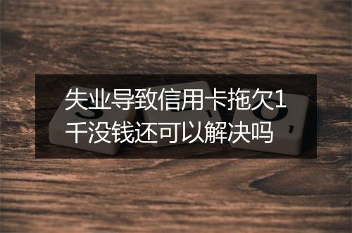 失业导致信用卡拖欠1千没钱还可以解决吗