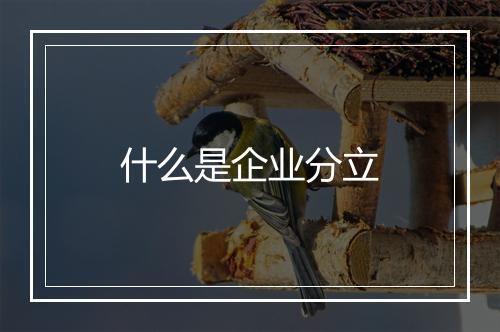 什么是企业分立