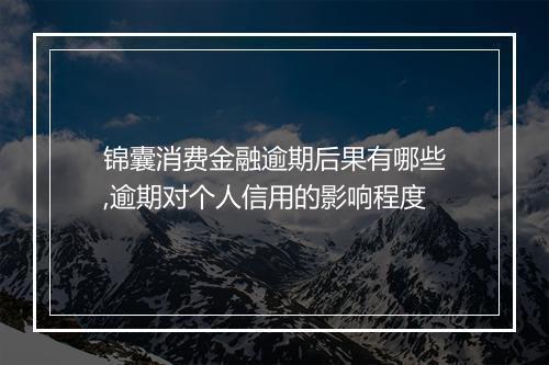 锦囊消费金融逾期后果有哪些,逾期对个人信用的影响程度