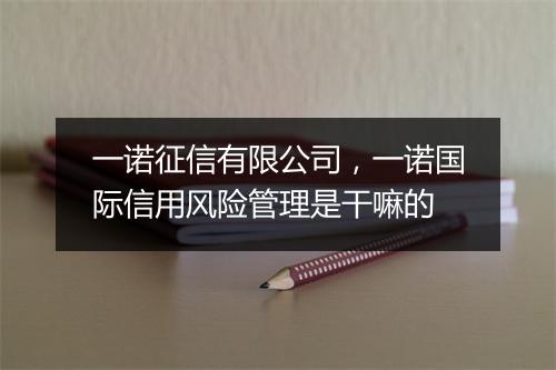 一诺征信有限公司，一诺国际信用风险管理是干嘛的