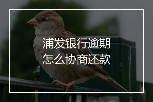 浦发银行逾期怎么协商还款
