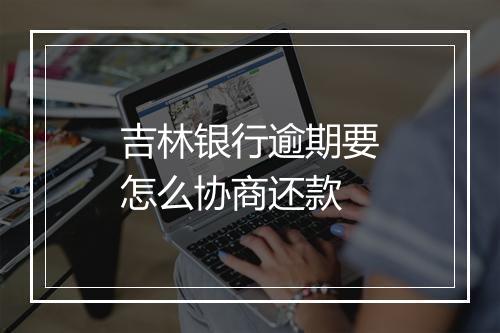 吉林银行逾期要怎么协商还款