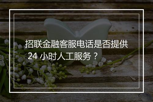 招联金融客服电话是否提供 24 小时人工服务？