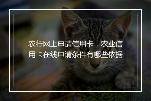 农行网上申请信用卡，农业信用卡在线申请条件有哪些依据