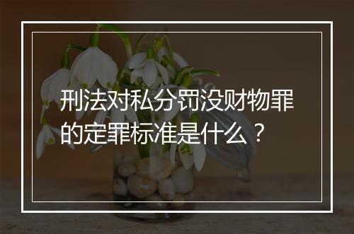刑法对私分罚没财物罪的定罪标准是什么？