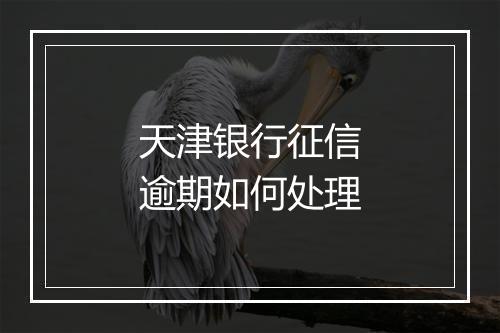 天津银行征信逾期如何处理