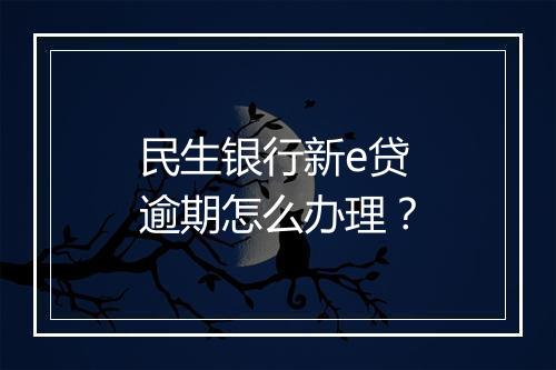 民生银行新e贷逾期怎么办理？