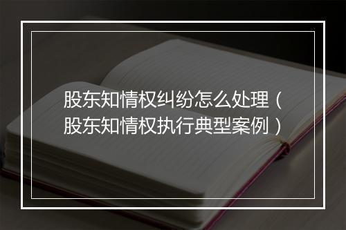 股东知情权纠纷怎么处理（股东知情权执行典型案例）