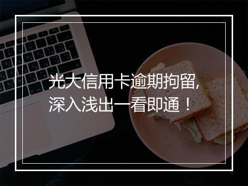 光大信用卡逾期拘留,深入浅出一看即通！