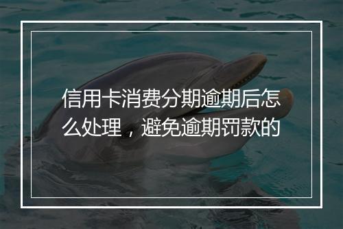信用卡消费分期逾期后怎么处理，避免逾期罚款的