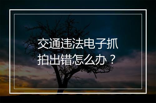 交通违法电子抓拍出错怎么办？