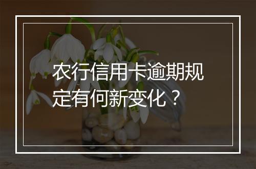 农行信用卡逾期规定有何新变化？