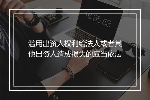 滥用出资人权利给法人或者其他出资人造成损失的应当依法