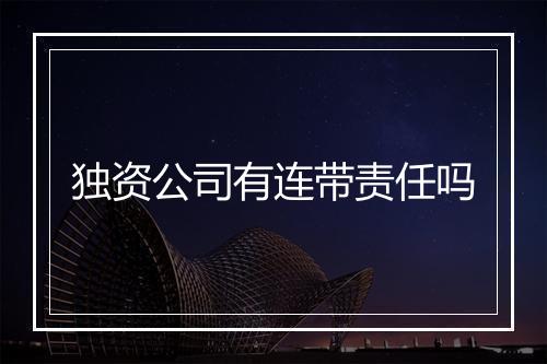 独资公司有连带责任吗