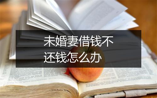 未婚妻借钱不还钱怎么办