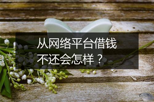 从网络平台借钱不还会怎样？