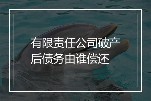 有限责任公司破产后债务由谁偿还