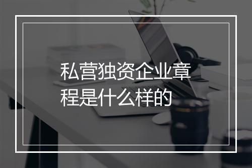 私营独资企业章程是什么样的