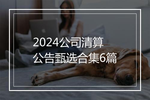 2024公司清算公告甄选合集6篇