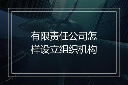 有限责任公司怎样设立组织机构