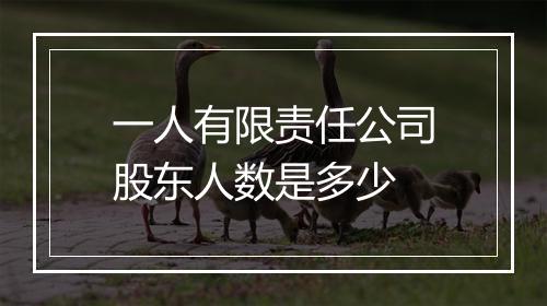 一人有限责任公司股东人数是多少