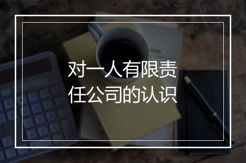 对一人有限责任公司的认识