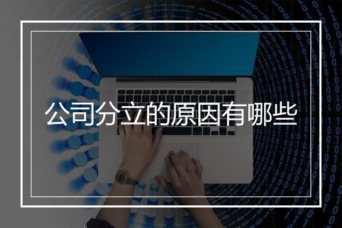 公司分立的原因有哪些