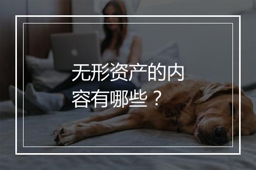 无形资产的内容有哪些？